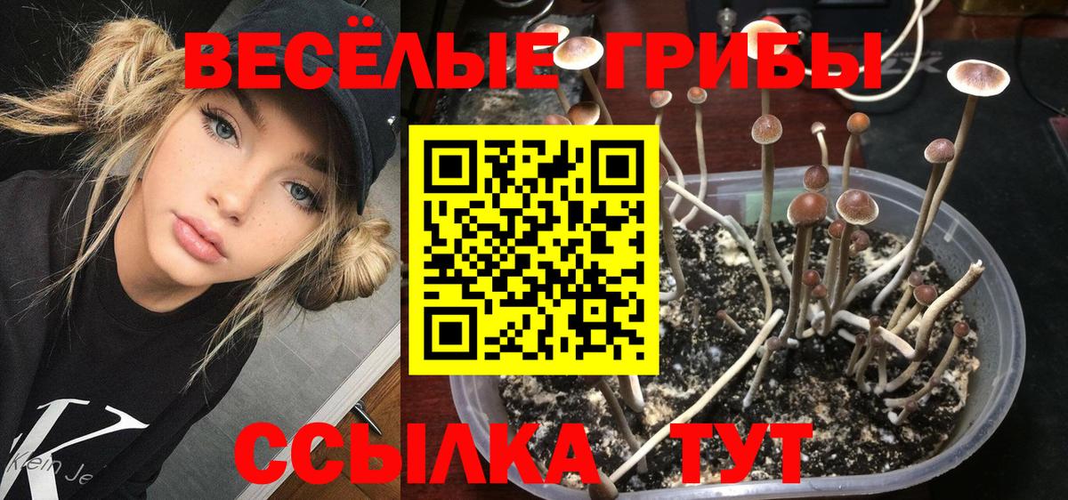 Новоалександровск  Псилоцибиновые грибы прущие грибы  Псилоцибиновые грибы мухоморы  Вход с VPN 